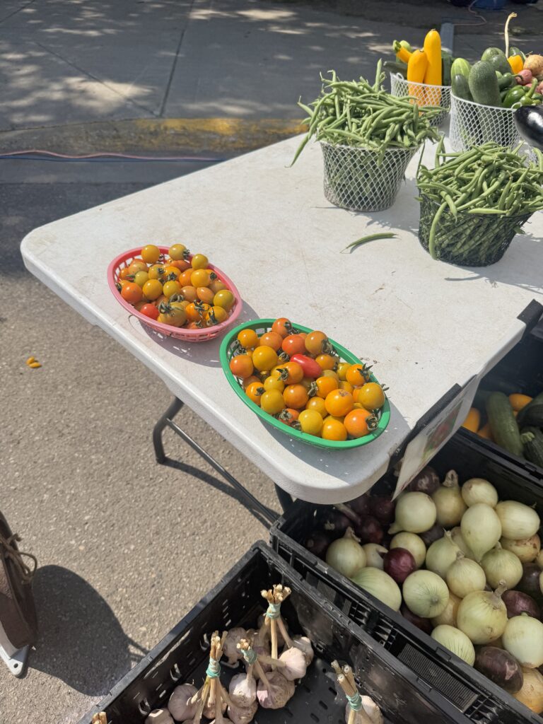 Baskets of fresh cherry and sun gold tomatoes at a farmers market stand