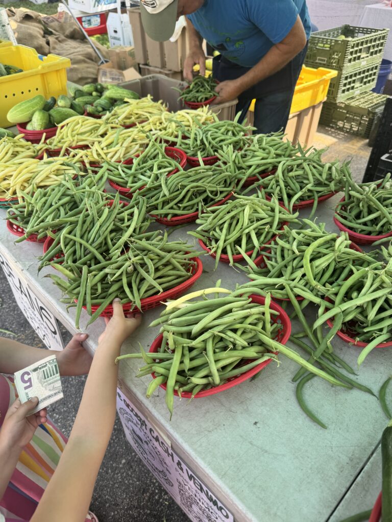 Baskets of fresh green beans at a farmers market stand